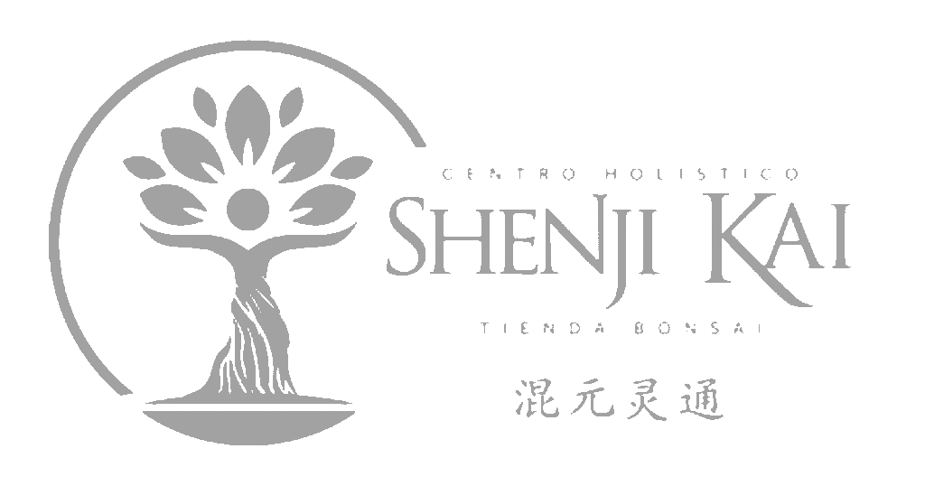 agencia de marketing para empresas agencia de marketing para shenji kai